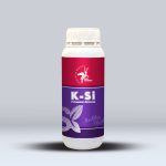 K-Si (سیلیکات پتاسیم)