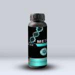 Meta Seed (بذرمال متابولیکی)