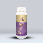 Mn (منگنز اتانول آمین)