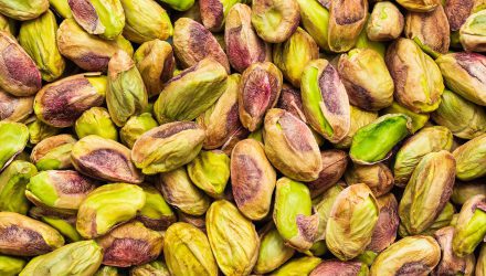 Pistachio nut seeds isolated. Pistachio nut seeds texture background