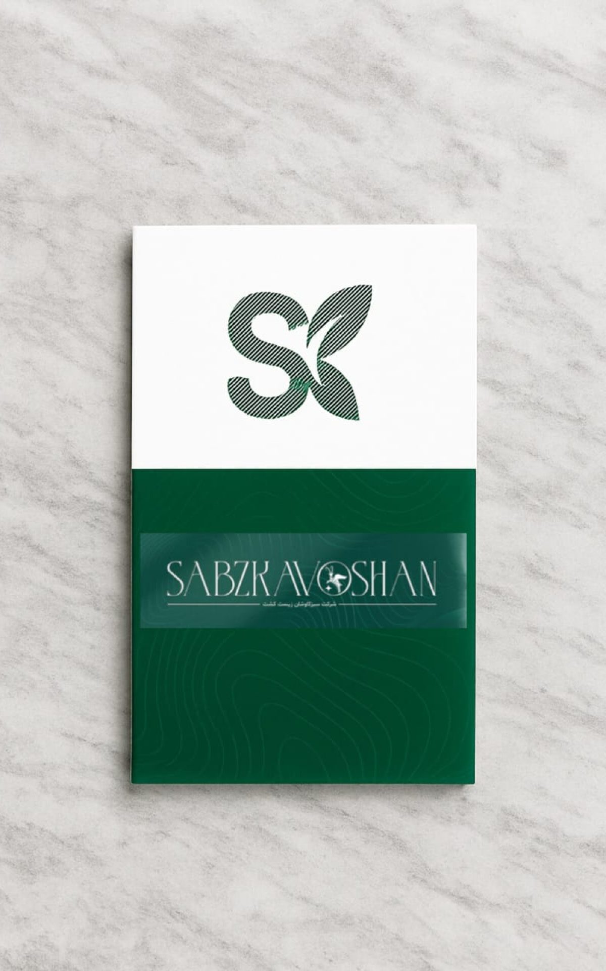 WhatsApp Image 2025-08-31 at 12.56.16